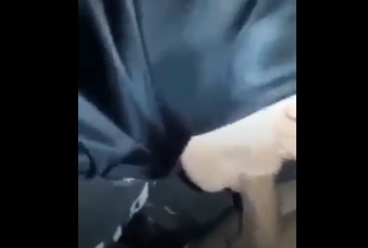 Mahasiswi Hijab Masih Malu Kalo Di Video