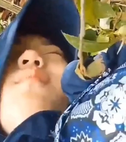 Top News Viral Tiktok Video Of ABG Sma Cantik Indo Gadis Smp Jilbab Lagi Di Ospek Senior One For All Indonesia Trending Global Official 2025